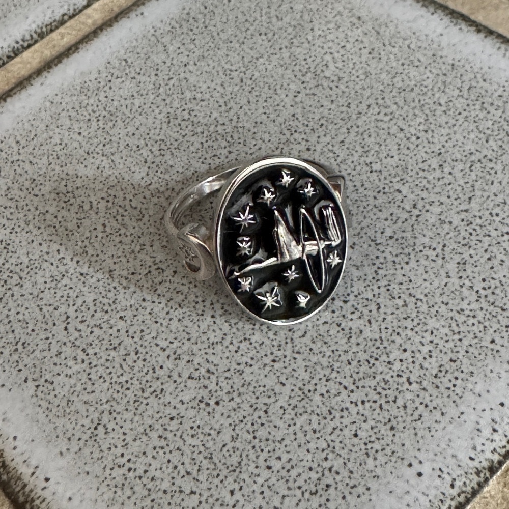Silver Starry Night Ring